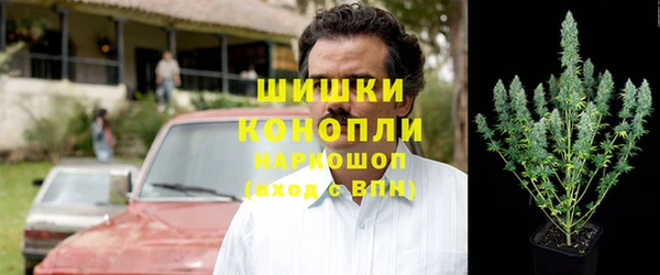 сатива Гусь-Хрустальный