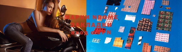 сатива Гусь-Хрустальный