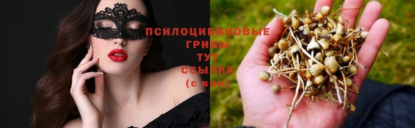 меф Рославль
