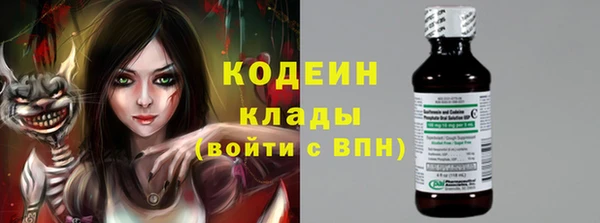 сатива Гусь-Хрустальный