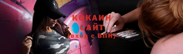 эйфоретик Гусев