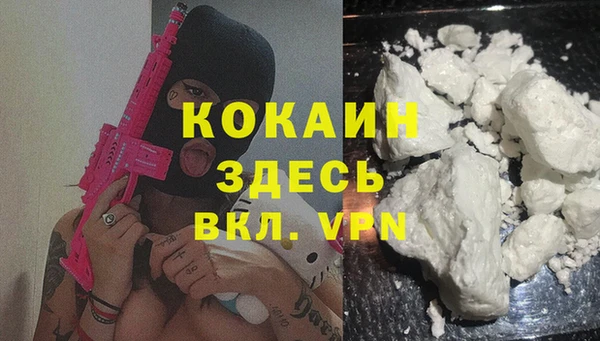 сатива Гусь-Хрустальный