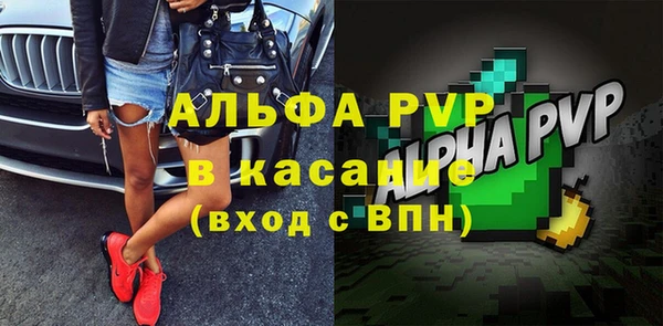 сатива Гусь-Хрустальный