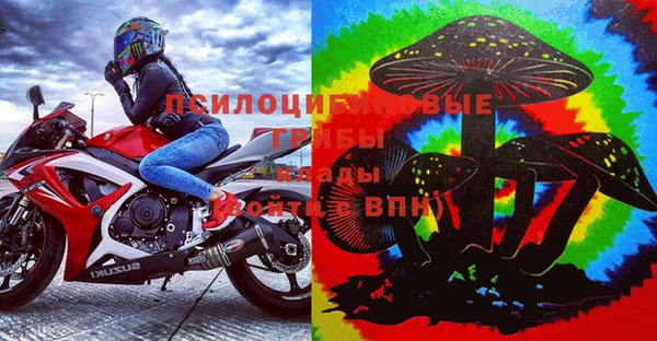 эйфоретик Гусев