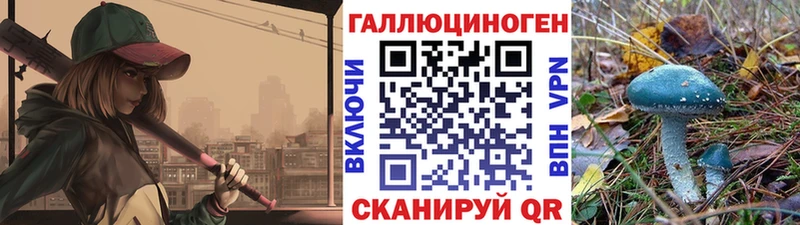 купить   Томилино  Псилоцибиновые грибы Magic Shrooms 